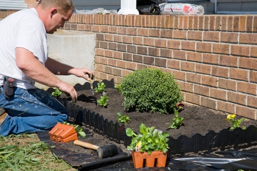 denver landscape companies