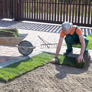 sod installation