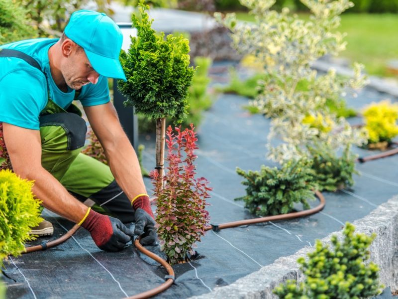 colorado landscape companies